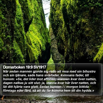 Domarboken 19:9 SV1917 Bible Verse Image