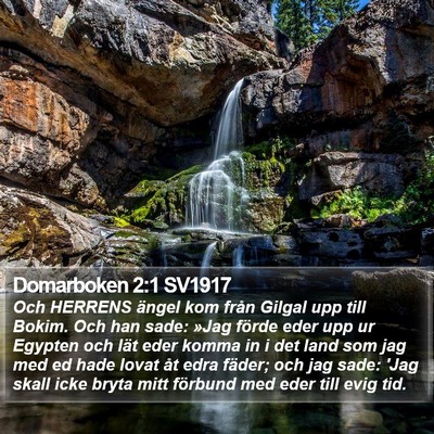 Domarboken 2:1 SV1917 Bible Verse Image