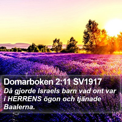 Domarboken 2:11 SV1917 Bible Verse Image