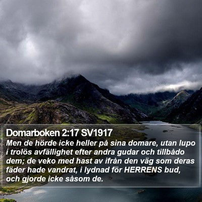 Domarboken 2:17 SV1917 Bible Verse Image