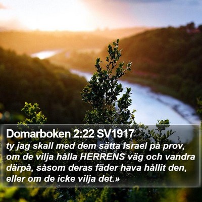Domarboken 2:22 SV1917 Bible Verse Image