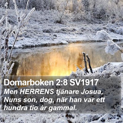Domarboken 2:8 SV1917 Bible Verse Image