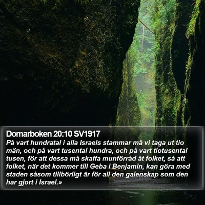 Domarboken 20:10 SV1917 Bible Verse Image
