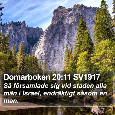 Domarboken 20:11 SV1917 Bible Verse Image
