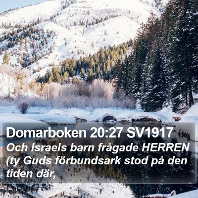 Domarboken 20:27 SV1917 Bible Verse Image