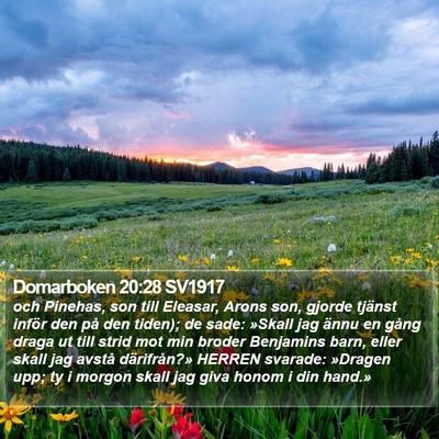 Domarboken 20:28 SV1917 Bible Verse Image
