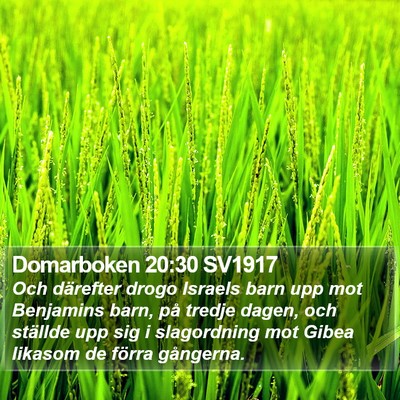 Domarboken 20:30 SV1917 Bible Verse Image