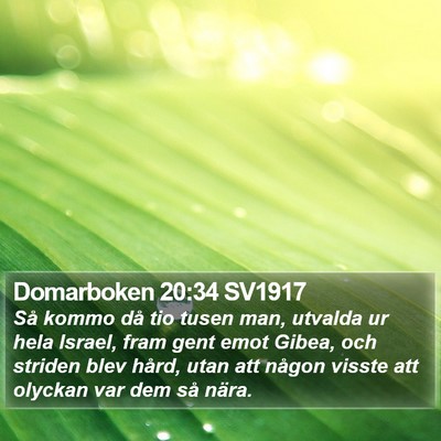 Domarboken 20:34 SV1917 Bible Verse Image
