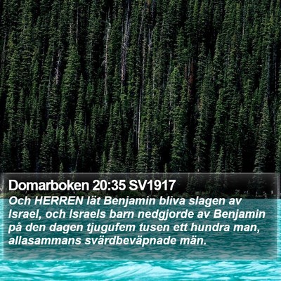 Domarboken 20:35 SV1917 Bible Verse Image