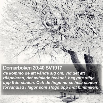 Domarboken 20:40 SV1917 Bible Verse Image