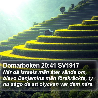 Domarboken 20:41 SV1917 Bible Verse Image