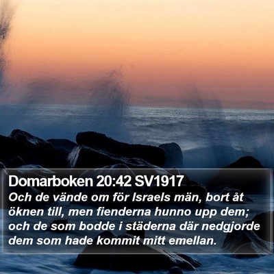 Domarboken 20:42 SV1917 Bible Verse Image