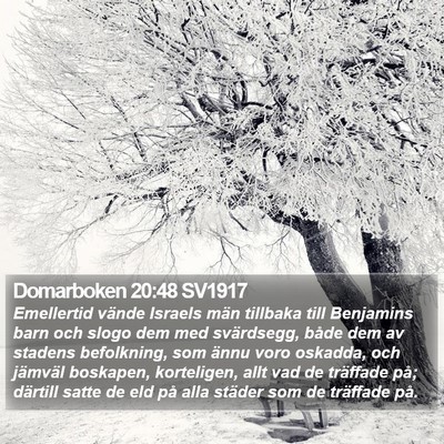 Domarboken 20:48 SV1917 Bible Verse Image