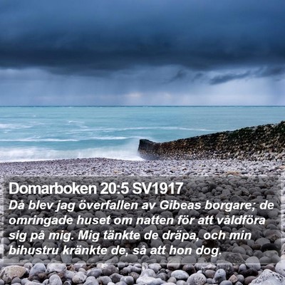 Domarboken 20:5 SV1917 Bible Verse Image