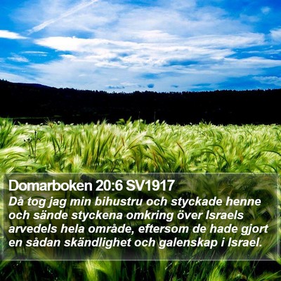 Domarboken 20:6 SV1917 Bible Verse Image