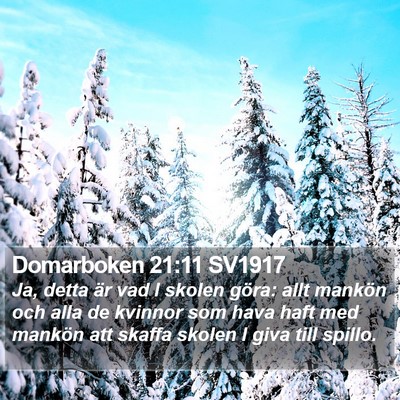 Domarboken 21:11 SV1917 Bible Verse Image