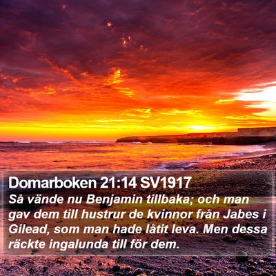 Domarboken 21:14 SV1917 Bible Verse Image