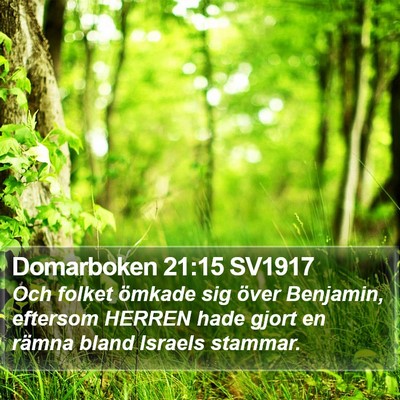 Domarboken 21:15 SV1917 Bible Verse Image