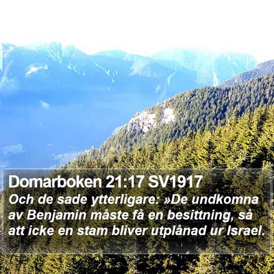 Domarboken 21:17 SV1917 Bible Verse Image