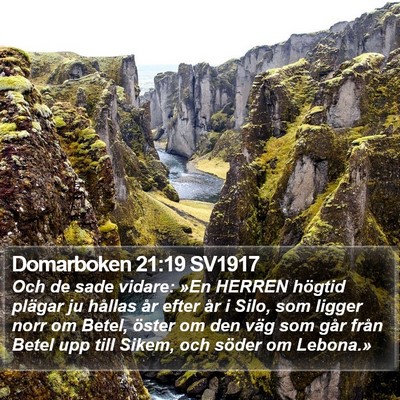 Domarboken 21:19 SV1917 Bible Verse Image