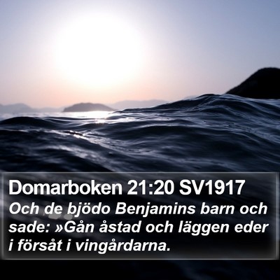 Domarboken 21:20 SV1917 Bible Verse Image