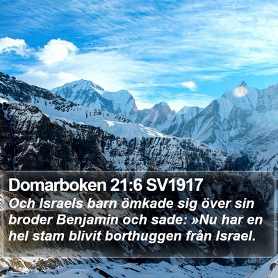 Domarboken 21:6 SV1917 Bible Verse Image