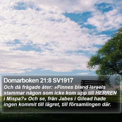 Domarboken 21:8 SV1917 Bible Verse Image