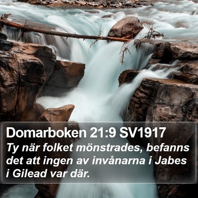 Domarboken 21:9 SV1917 Bible Verse Image