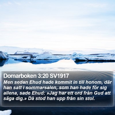 Domarboken 3:20 SV1917 Bible Verse Image