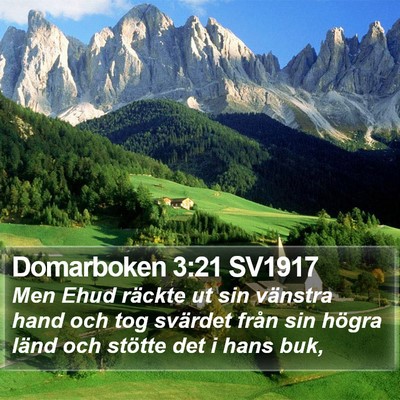 Domarboken 3:21 SV1917 Bible Verse Image