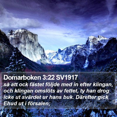 Domarboken 3:22 SV1917 Bible Verse Image