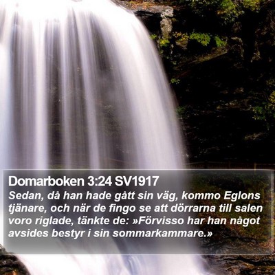 Domarboken 3:24 SV1917 Bible Verse Image