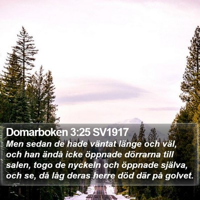 Domarboken 3:25 SV1917 Bible Verse Image