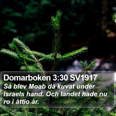 Domarboken 3:30 SV1917 Bible Verse Image