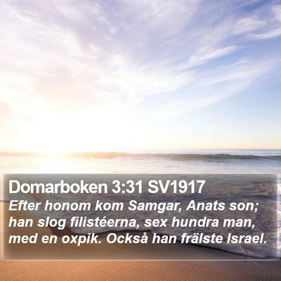 Domarboken 3:31 SV1917 Bible Verse Image