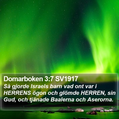 Domarboken 3:7 SV1917 Bible Verse Image