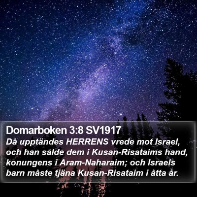 Domarboken 3:8 SV1917 Bible Verse Image