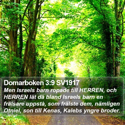 Domarboken 3:9 SV1917 Bible Verse Image