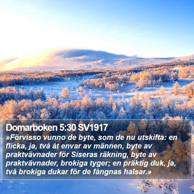 Domarboken 5:30 SV1917 Bible Verse Image