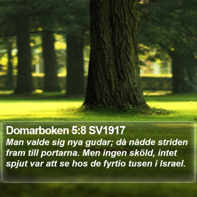Domarboken 5:8 SV1917 Bible Verse Image