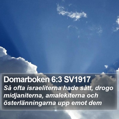 Domarboken 6:3 SV1917 Bible Verse Image