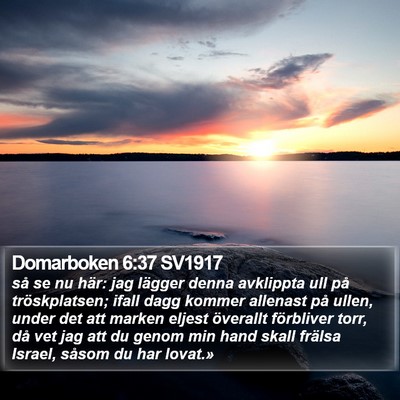 Domarboken 6:37 SV1917 Bible Verse Image