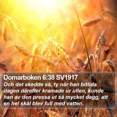 Domarboken 6:38 SV1917 Bible Verse Image
