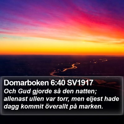 Domarboken 6:40 SV1917 Bible Verse Image