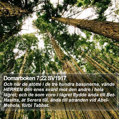 Domarboken 7:22 SV1917 Bible Verse Image