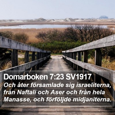 Domarboken 7:23 SV1917 Bible Verse Image