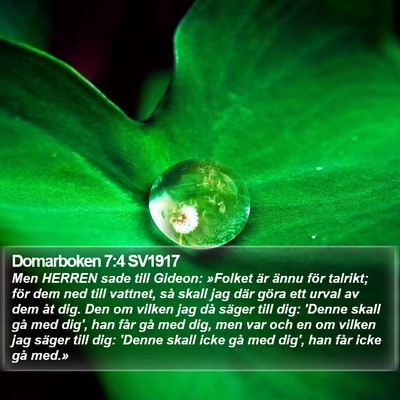 Domarboken 7:4 SV1917 Bible Verse Image