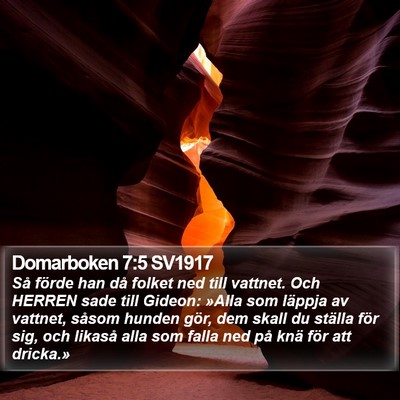 Domarboken 7:5 SV1917 Bible Verse Image
