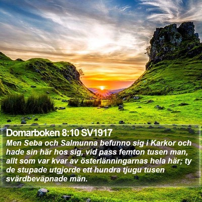 Domarboken 8:10 SV1917 Bible Verse Image