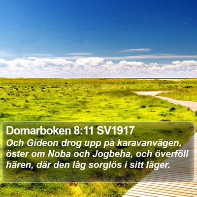 Domarboken 8:11 SV1917 Bible Verse Image